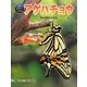 アゲハチョウ―完全変態する昆虫(科学のアルバム・かがやくいのち〈11〉) [全集叢書]