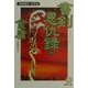 書剣恩仇録〈1〉秘密結社紅花会(徳間文庫) [文庫]