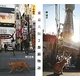 東京・大阪2都猫物語 [単行本]