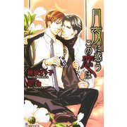 月夜に惑うこの恋は(アイノベルズ) [新書]