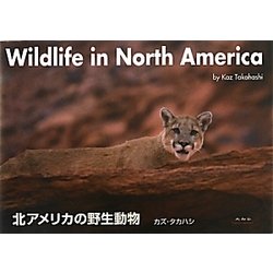 ヨドバシ Com 北アメリカの野生動物 単行本 通販 全品無料配達