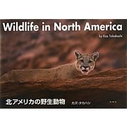 北アメリカの野生動物 [単行本]