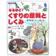 なるほど!くすりの原料としくみ―基礎知識と正しい使い方(知の森絵本) [絵本]