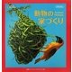 動物の家づくり(立体えほん) [絵本]