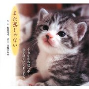 まだ恋じゃない―猫と俳句の写真集 [単行本]