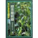 緑茶最前線―品種茶を愉しむ(京都書院アーツコレクション) [文庫]