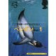 平野賢一切手コレクション ペンギン〈1〉(京都書院アーツコレクション) [文庫]