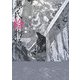 源氏絵物語―本物の絵と声で楽しむ日本の古典 [単行本]