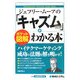 ポケット図解 ジェフリー・ムーアの「キャズム理論」がわかる本 [単行本]