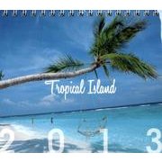 Tropical Island 2013[カレンダー] [カレンダー]