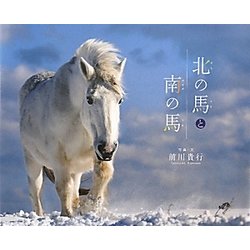 北の馬と南の馬 [絵本]