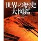 世界の歴史大図鑑 [図鑑]