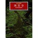 西芳寺 苔と石と夢窓疎石(日本の庭園美〈1〉) [全集叢書]
