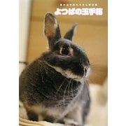よつばの玉手箱―気分は今日もうさんぽ日和 [単行本]
