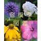 宿根草図鑑 Perennials [単行本]