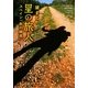 星の旅人―スペイン「奥の細道」(角川文庫) [文庫]