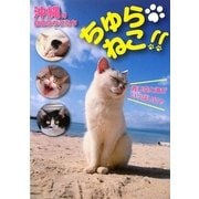 ちゅらねこ!!―沖縄の自由なねこたち(TOKIMEKIねこシリーズ) [単行本]