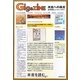 GIGAZINE―未来への暴言 [単行本]