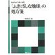 「ふきげんな地球」の処方箋―サステナビリティ入門(海象ブックレット) [全集叢書]