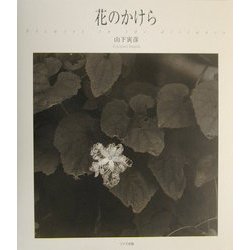 花のかけら [単行本]