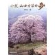 小説 山田方谷の夢 [単行本]
