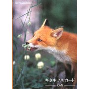 キタキツネカード(POST CARD BOOK) [文庫]