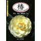 椿―Camellia Photo Collection(京都書院アーツコレクション) [単行本]