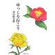 ゆっくり行こう [単行本]