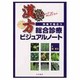 外来で役立つ漢方総合診療ビジュアルノート [単行本]