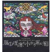 藤田理麻の小さな黒い箱 [単行本]