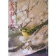 冬のおしゃれ―池田重子流きものコーディネート [単行本]