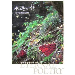 永遠の詩―田中佐知作品集 [全集叢書]