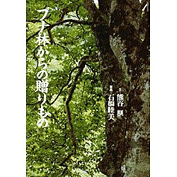 ブナ林からの贈りもの [単行本]