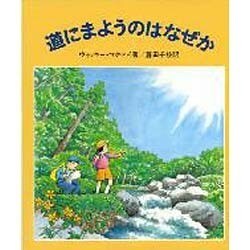 道にまようのはなぜか(やさしい科学) [全集叢書]