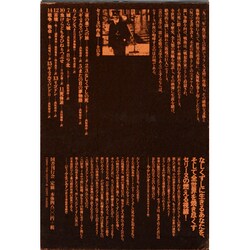 仏 ガリマール社 プレイヤード叢書 セリーヌ Celine ３冊セット 楽天市場】【未使用品】セリーヌ/CELINE トリオンフ ミディアム