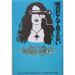 明日なんて見えない [単行本]