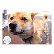 のこされた動物たち待ちつづける動物たち(2冊セット) [単行本]