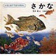 さかな(福音館の科学シリーズ) [絵本]