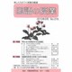 国語の授業 No.216 [単行本]