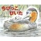 ちびっこぴいた [絵本]