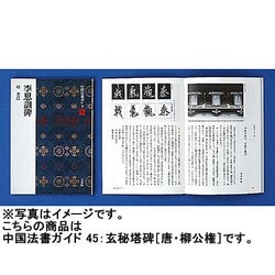 玄秘塔碑(中国法書ガイド<45>) [全集叢書]