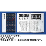 玄秘塔碑(中国法書ガイド<45>) [全集叢書]