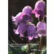 フローラヨーロッパ・アルプスの花たち(新風舎文庫―POST CARD BOOK) [文庫]