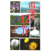 カラー版 山歩き12か月(中公新書) [新書]