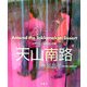 天山南路―Around the Taklamakan Desert [単行本]
