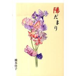 陽だまり [単行本]