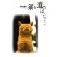 猫を遺さはった―悼亡詩 [単行本]