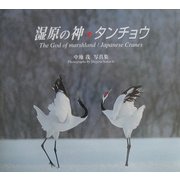 湿原の神・タンチョウ―中地茂写真集 [単行本]