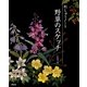 刺しゅうノート 野草のスケッチ [単行本]