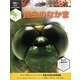 昆虫のなかま(究極の科学しかけえほん) [絵本]